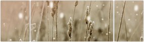 Obraz - Harmonious Meadow (170x50 cm)