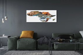 Duży obraz na płótnie Zebra, Żyrafa i Tygrys