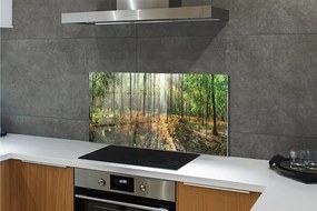 Panel szklany do Kuchni Klasyczny Las Brzozowy