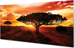 Panel szklany do Kuchni Drzewa pod Wieczornym Niebem