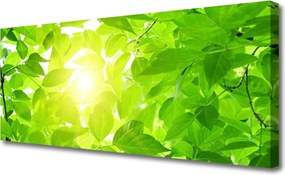 Obraz canvas Słońce w Koronach Drzew