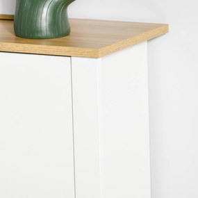 HOMCOM Szafkowy regał na buty, 2 komory, 12 par butów, 72 cm x 26 cm x 80 cm, Biały + Brąz