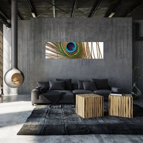 Obraz pawich piór (170x50 cm)
