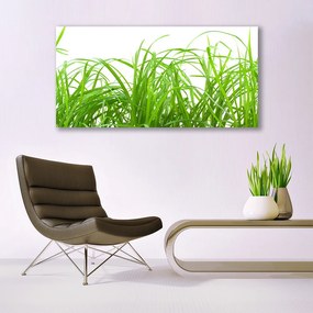 Zdjęcie na płótnie Soczysta Zielona Trawa