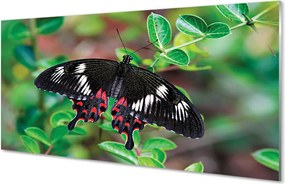 Panel Szklany Barwny Akcent na Liściach