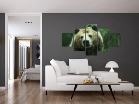 Obraz niedźwiedzia (125x70 cm)