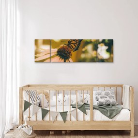 Obraz motyla na kwiatku (170x50 cm)