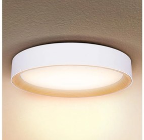 Brilagi -Ściemnialne oświetlenie LED LARIOS LED/60W/230V 3000-6500K ø 49 cm biały+pilot