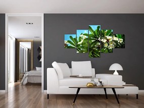 Obraz - Plumeria (125x70 cm)