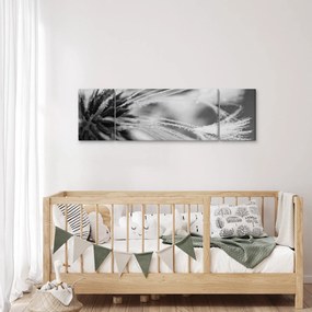 Obraz - Makro, czarno - biały (170x50 cm)