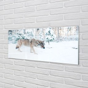 Panel Szklany Wilk zima las