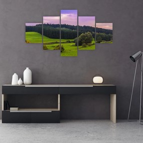 Obraz łąki (125x70 cm)