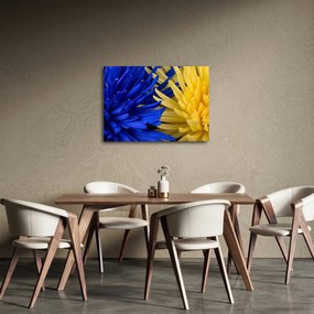 Obraz - szczegóły kwiatów (70x50 cm)