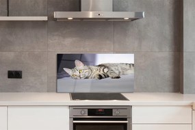 Szkło do Kuchni na Ścianę Leniwe Popołudnie na Kanapie