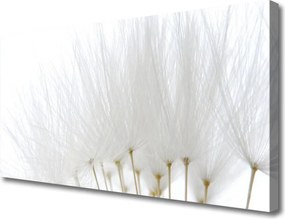 Obraz canvas na ścianę Kwiatowa Dekoracja Ścienna