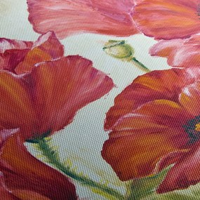 Obraz - Kwiaty maku (125x70 cm)