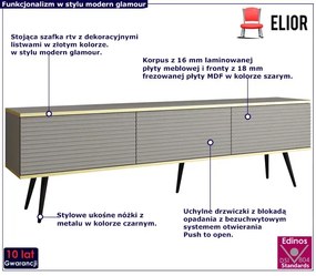 Lamelowa szafka pod TV glamour szary + czarny Lira