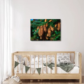 Obraz na szkle - szyszki (70x50 cm)
