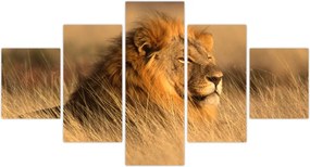 Obraz - Park Narodowy Etosha (125x70 cm)