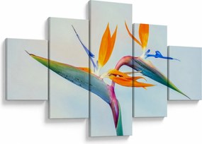 Obraz kwiatu Strelicji (125x70 cm)