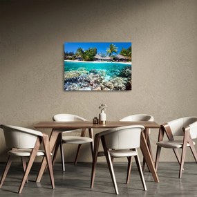 Obraz na szkle plaży na tropikalnej wyspie (70x50 cm)