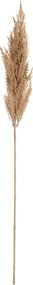Gałązka Trawy Pampasowej 90cm beige
