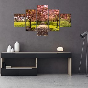 Obraz - sad czereśniowy (125x70 cm)