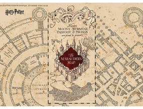 Fototapeta dla dzieci Harry Potter Marauders Map 252 x 182 cm, 4 części