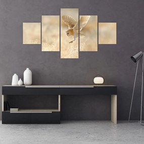 Obraz - Sowa (125x70 cm)