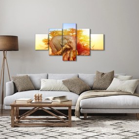 Obraz zwierząt afrykańskich (125x70 cm)