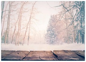 Obraz - Widok na las (70x50 cm)