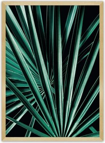 Plakat Dark Palm Tree