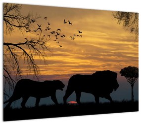 Obraz Safari (70x50 cm)