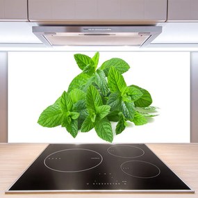 Panel Szklany Świeżość Liści Mięty