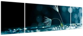 Obraz - Makro (170x50 cm)