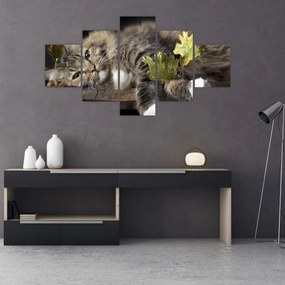 Obraz - Leżący kot (125x70 cm)