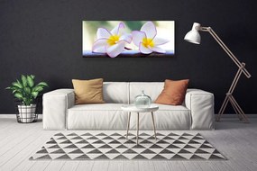 Obraz Canvas Kwiaty Płatki Plumeria