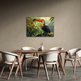 Obraz - Tukan (70x50 cm)