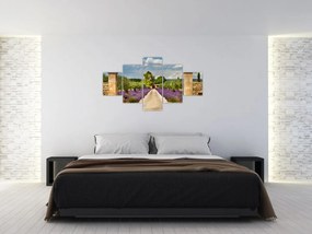 Obraz - Lawendowe ścieżki (125x70 cm)