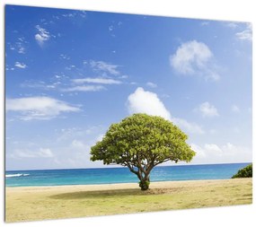 Obraz na szkle - plaża z drzewem (70x50 cm)