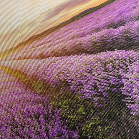 Obraz - Wschód słońca na polu lawendy (z zegarem) (90x30 cm)