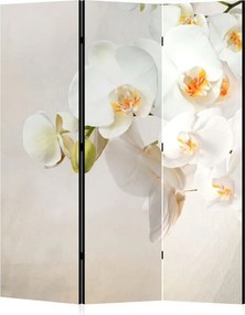 Parawan pokojowy 3-częściowy 135x172 Dwustronny dekoracyjny elegancki romantyczny Kremowy Białe Orchidee Spa