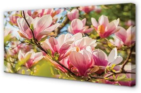 Fotoobraz na płótnie Różowa Magnolia