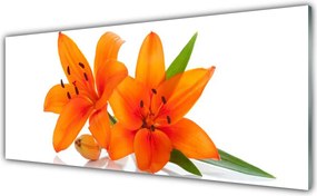 Szkło do Kuchni na Ścianę Letni Ogród Kwiatowy