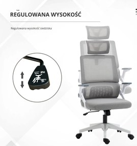 Vinsetto Ergonomiczne Krzesło Biurowe Regulowana Podgłówka 58x61x119cm Szary | Aosom PL