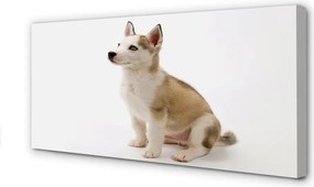 Duży obraz na płótnie Siedzący Mały Piesek