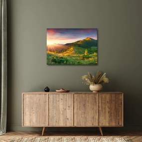 Obraz - Letni krajobraz (70x50 cm)
