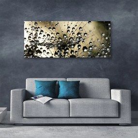 Obraz na płótnie Lekkość Mniszka Lekarskiego