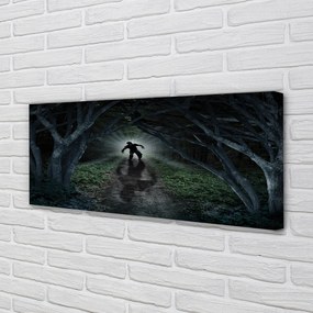 Zdjęcie na płótnie Ciemny Las i Postać