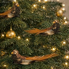 Zestaw ptaszków na klipsie, czarno-brązowy, 3 szt.